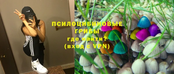 spice Алексеевка