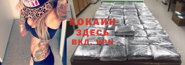 spice Алексеевка