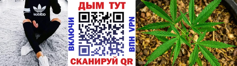 Купить  Буйнакск  Марихуана тримм 